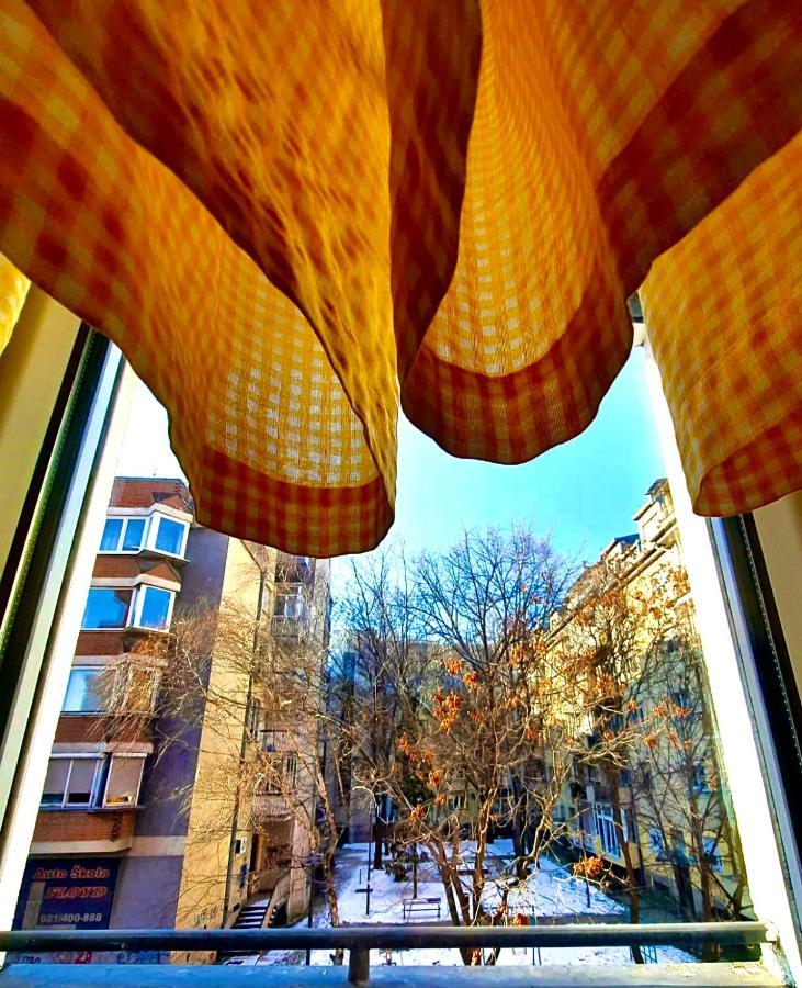 Apartman Danube Novi Sad Exterior foto